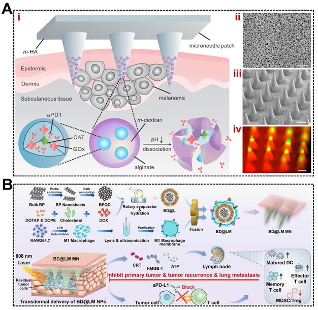 Theranostics Image
