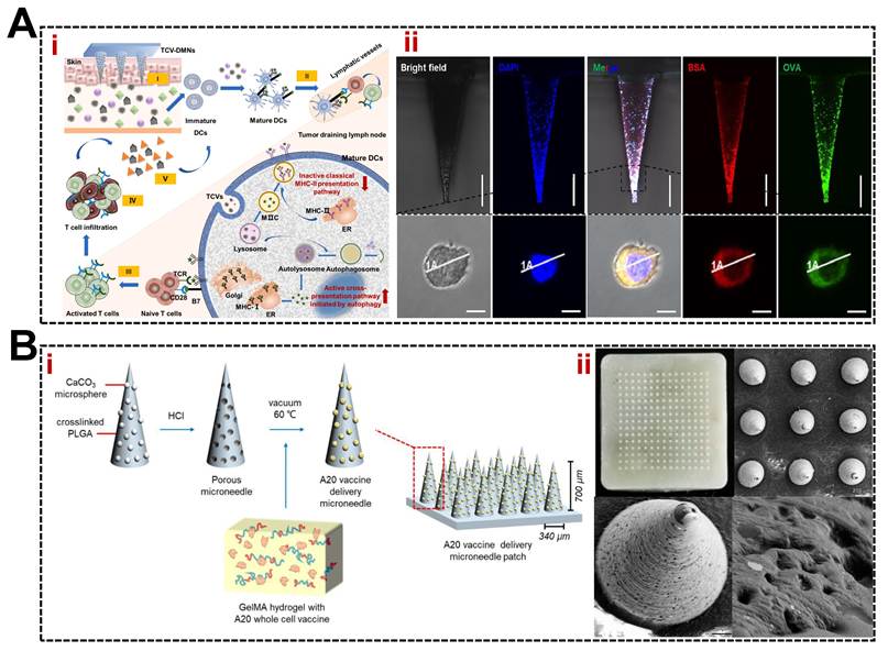 Theranostics Image