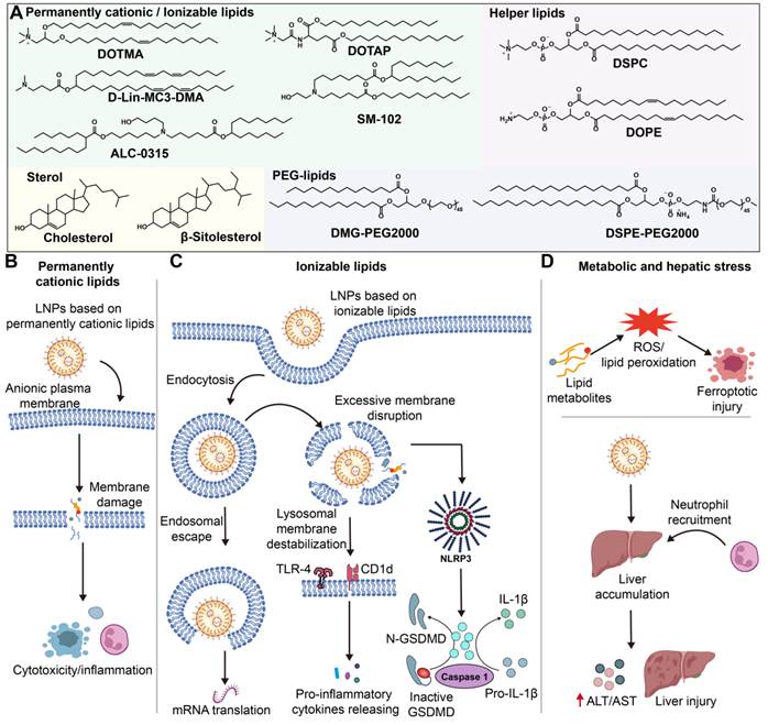 Theranostics Image
