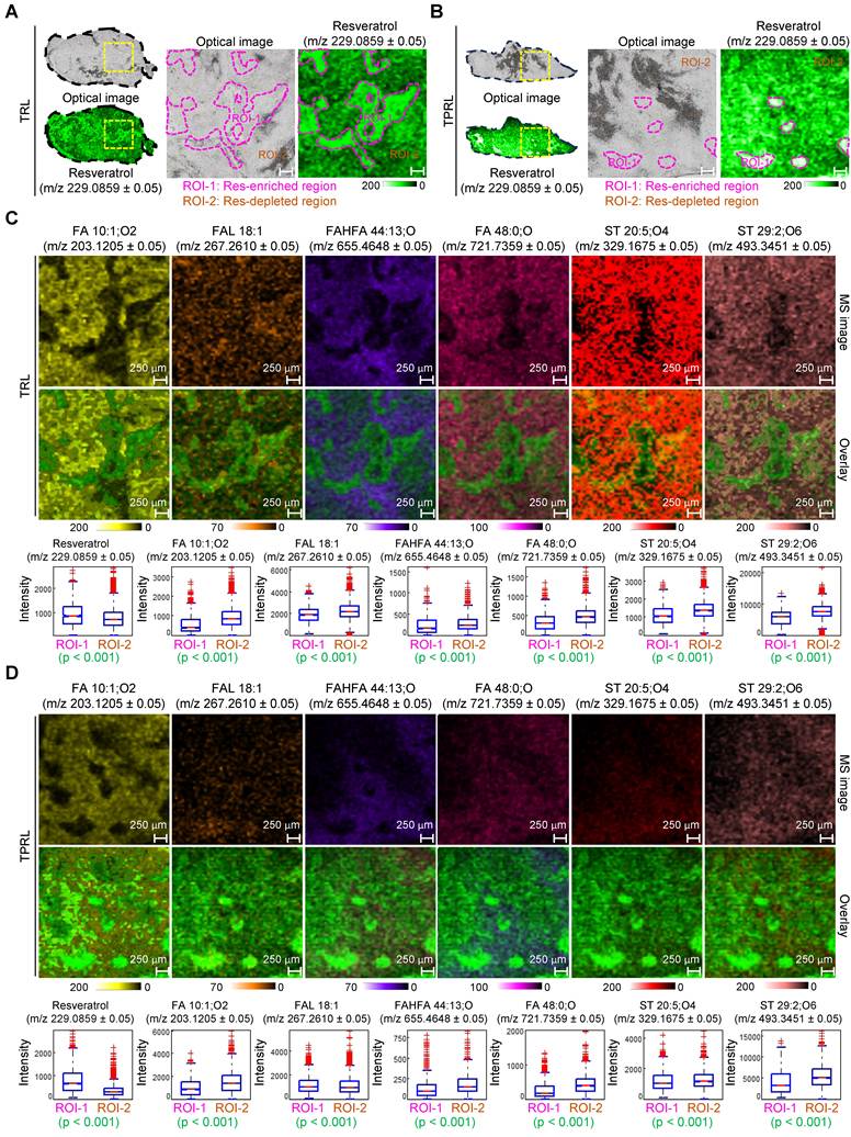 Theranostics Image