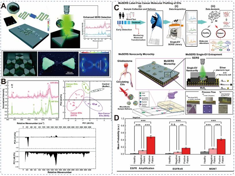 Theranostics Image