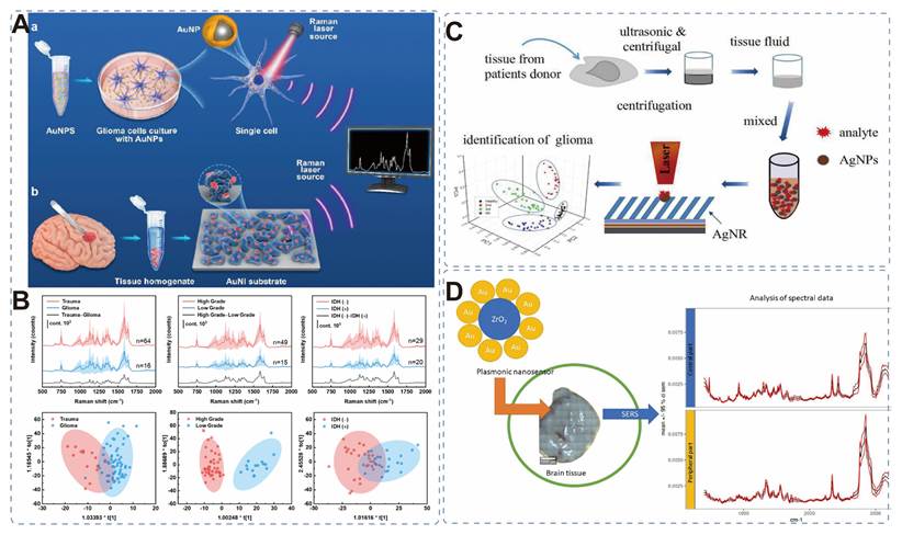Theranostics Image
