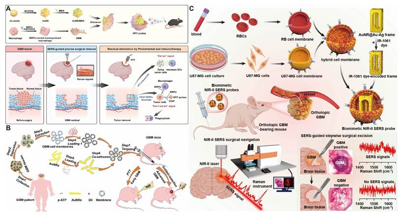 Theranostics Image
