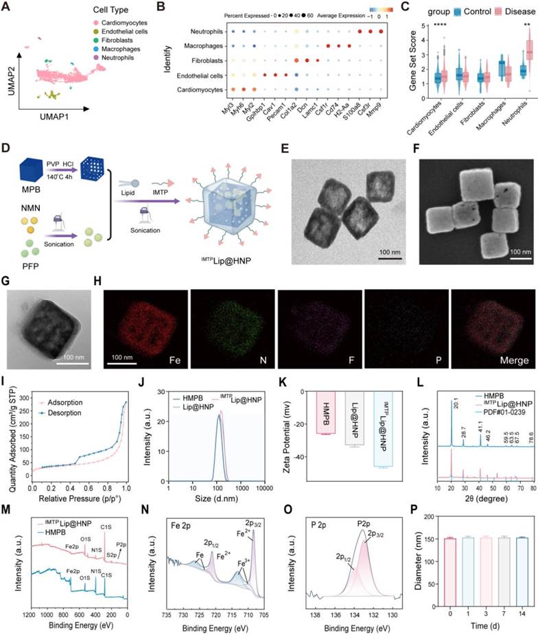 Theranostics Image