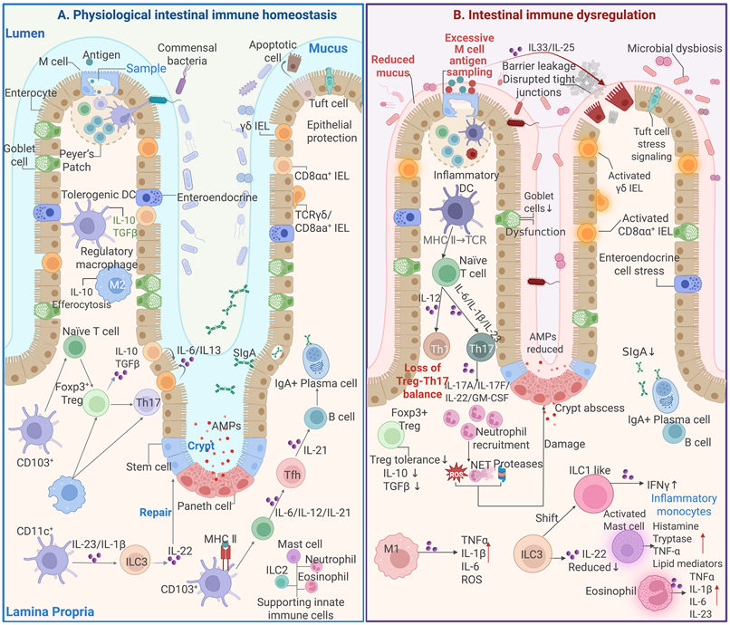 Theranostics Image