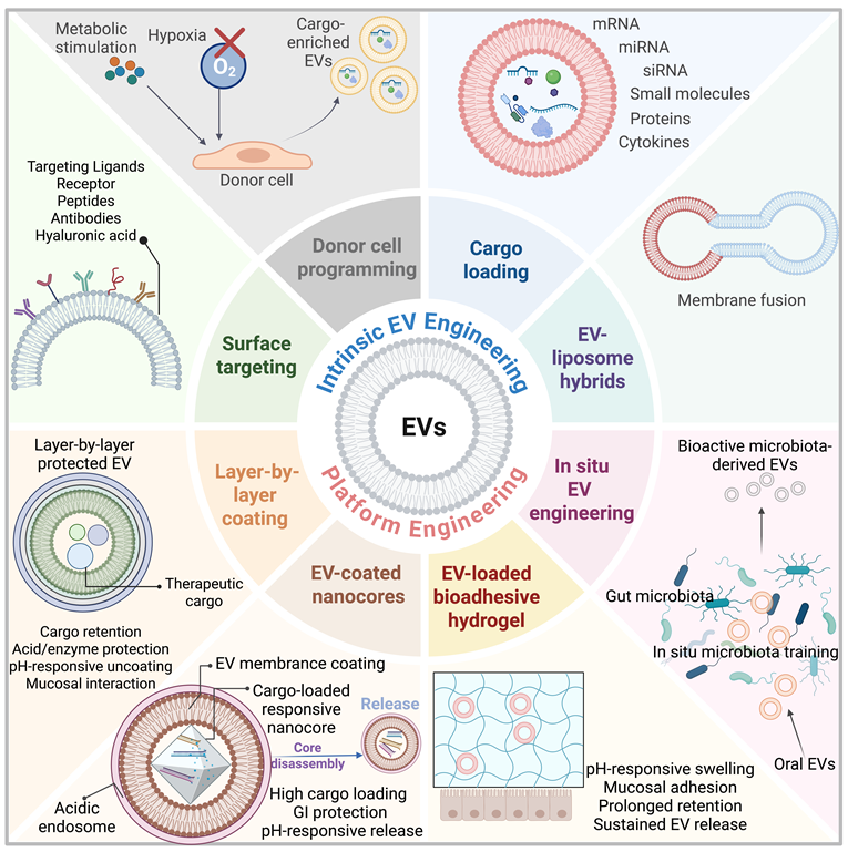 Theranostics Image