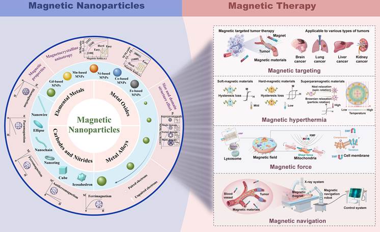 Theranostics Image