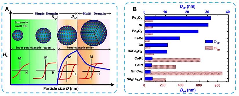 Theranostics Image