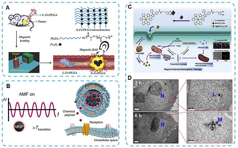Theranostics Image