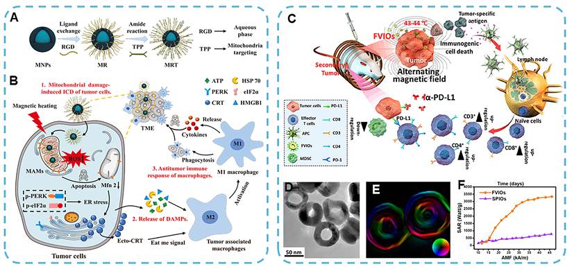 Theranostics Image
