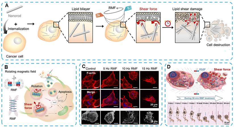Theranostics Image