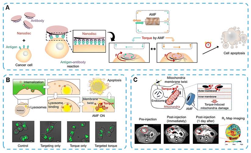 Theranostics Image