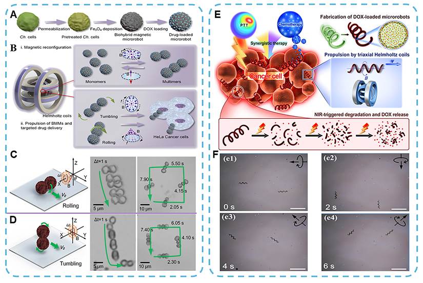 Theranostics Image