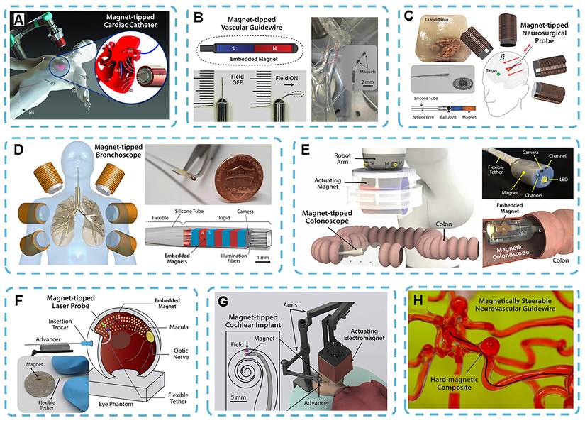 Theranostics Image